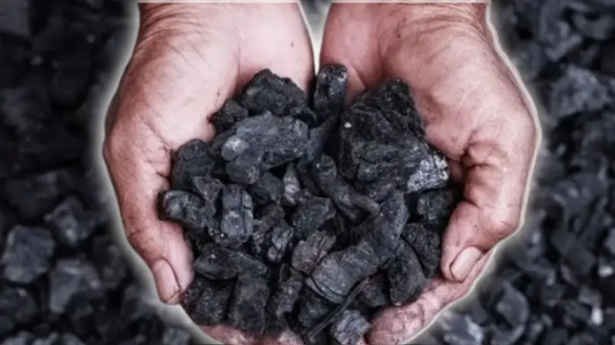 Bensin dari Batu Bara Mulai Dikaji, Danantara Didorong Untuk Turun Tangan