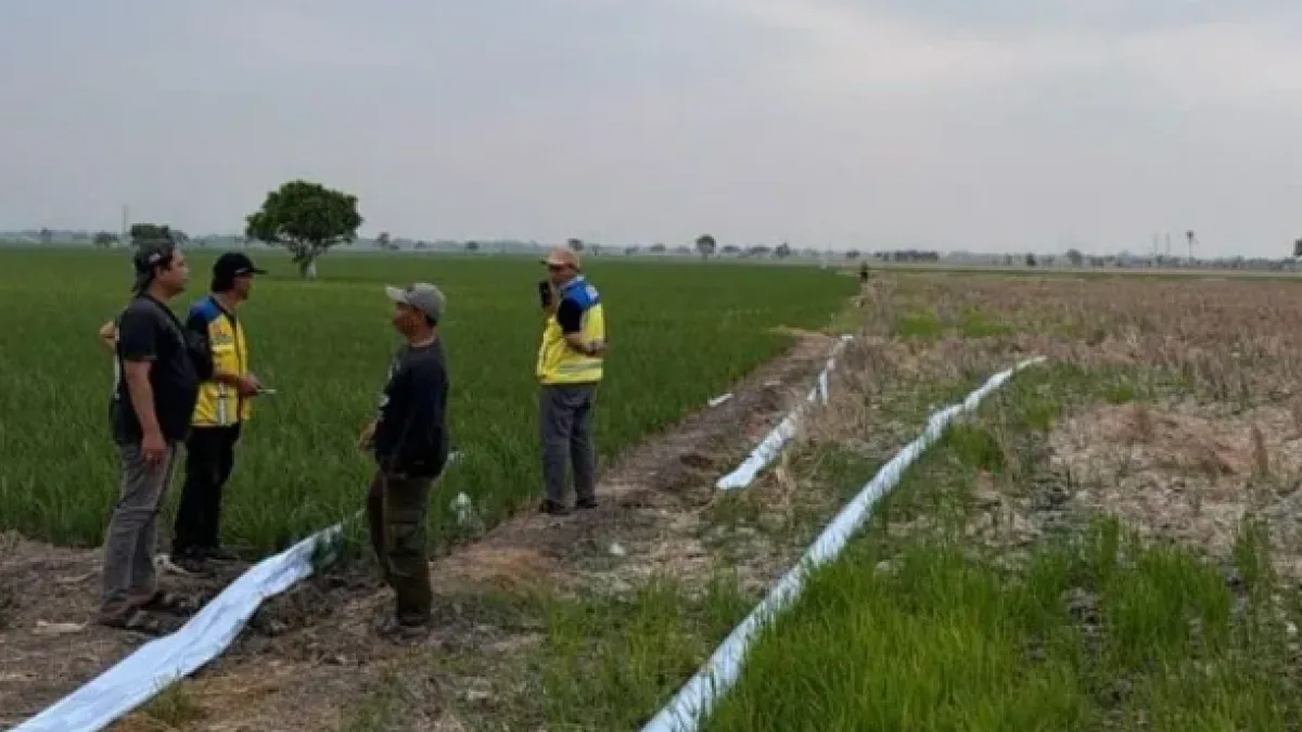 Kementerian PU Operasikan Tiga Pompa untuk Atasi Kekeringan 600 Hektare Sawah di Bekasi
